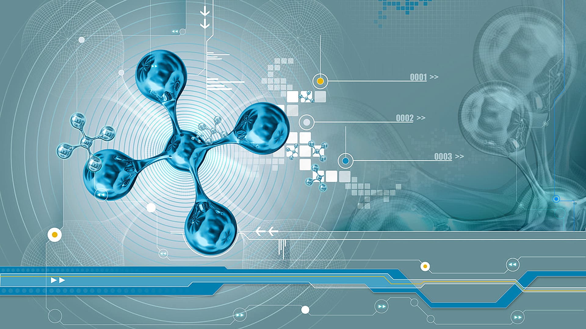 Bridging Healthcare & Innovation